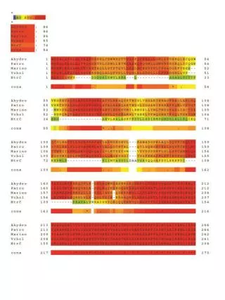 Bernard_Revised_SupplFigS2