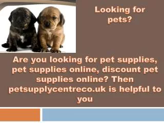 The one stop shop for discount pet supplies online
