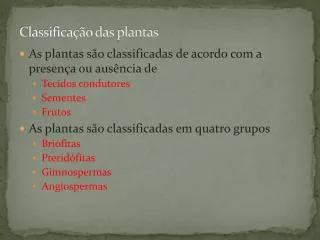 classifica o das plantas