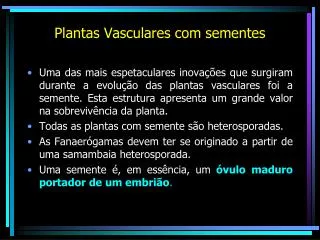 plantas vasculares com sementes