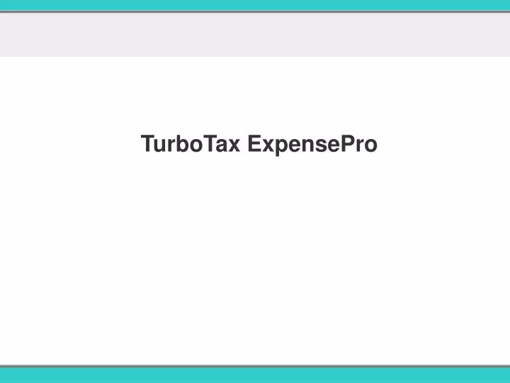 turbotax expensepro