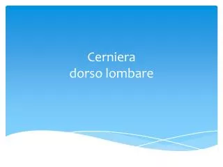 cerniera dorso lombare