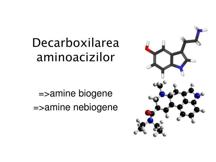 decarboxilarea aminoacizilor