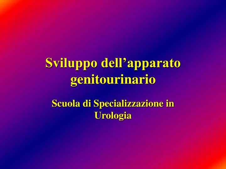 sviluppo dell apparato genitourinario