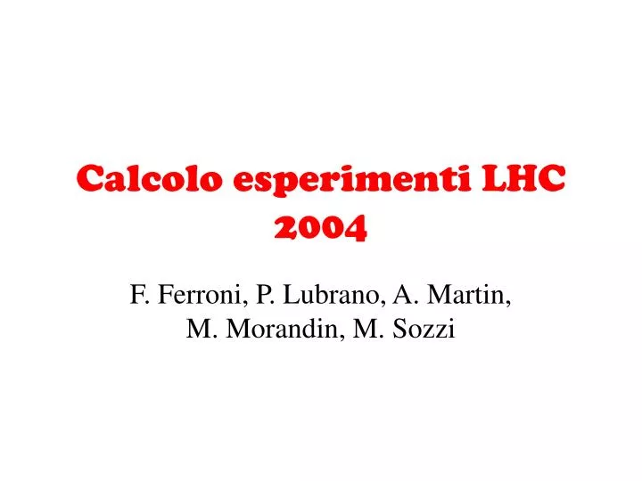 calcolo esperimenti lhc 2004