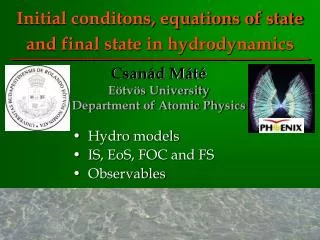 Initial conditons, equations of state and final state in hydrodynamics