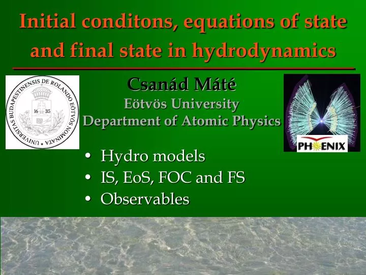 initial conditons equations of state and final state in hydrodynamics