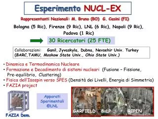 Esperimento NUCL-EX