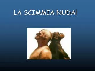 la scimmia nuda