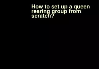 How to set up a queen rearing group from scratch?