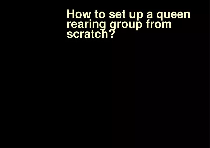 how to set up a queen rearing group from scratch