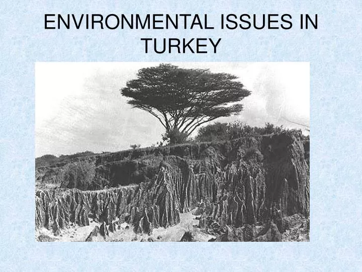 environmental issues in turkey