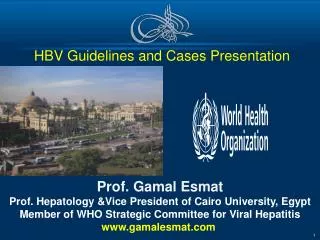 HBV Guidelines and Cases Presentation