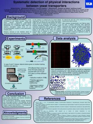 Systematic detection of physical interactions between yeast transporters