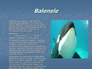 balenele