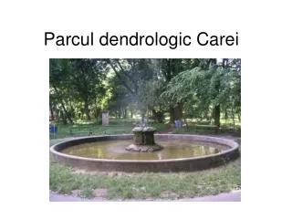 parcul dendrologic carei