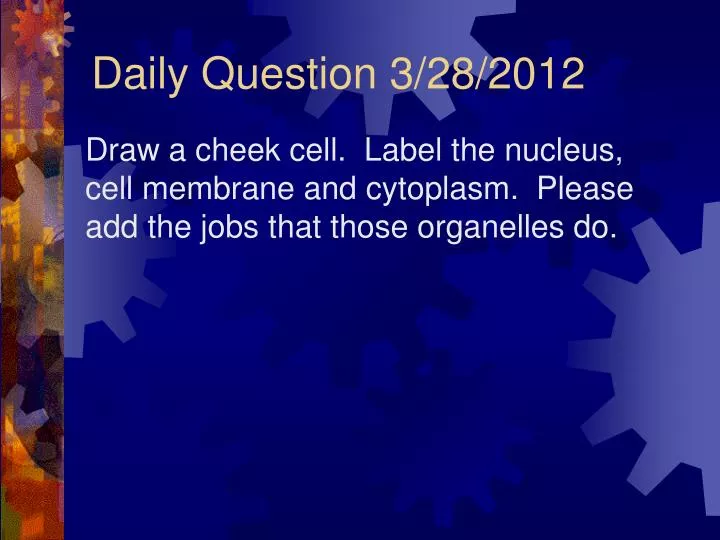 daily question 3 28 2012
