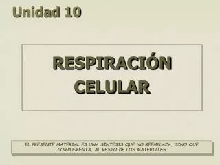 unidad 10