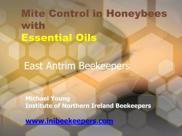 mite control in honeybees with essential oils