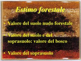 estimo forestale