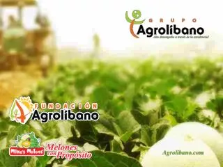 Agrolibano