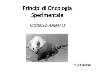 principi di oncologia sperimentale