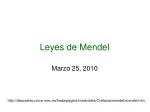Leyes de Mendel - slide 1