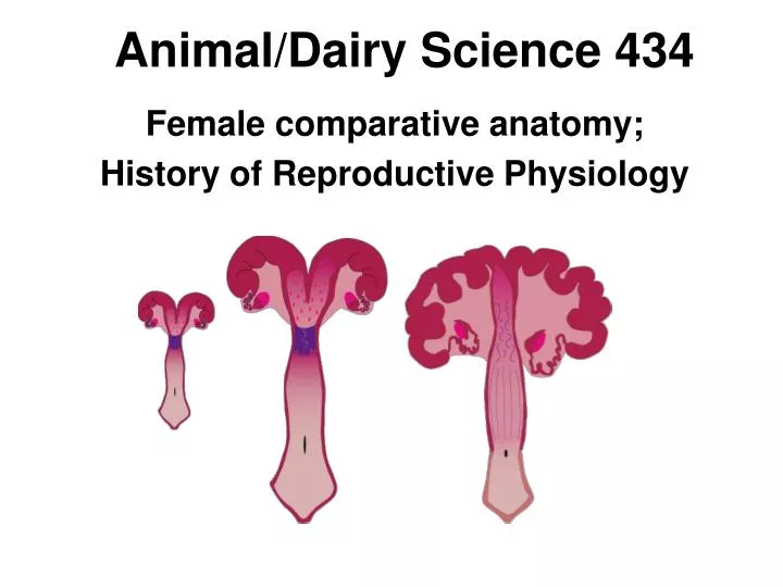 animal dairy science 434