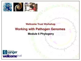 Wellcome Trust Workshop Working with Pathogen Genomes Module 6 Phylogeny