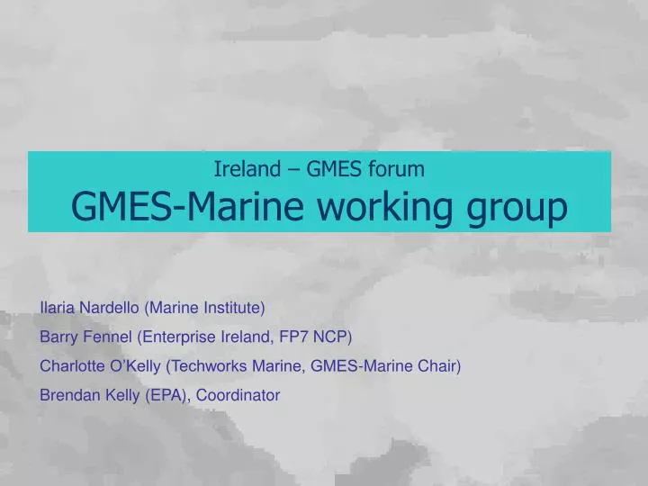 ireland gmes forum gmes marine working group