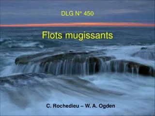 dlg n 450 flots mugissants