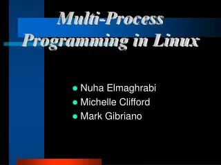 Multi-Process Programming in Linux