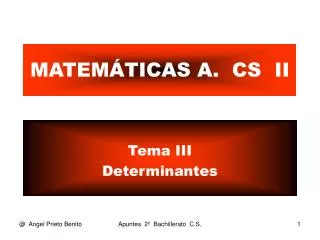 matem ticas a cs ii