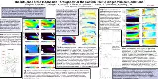 The Influence of the Indonesian Throughflow on the Eastern Pacific Biogeochimical Conditions