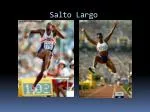 Salto Largo - slide 1