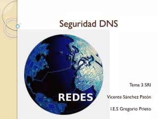 seguridad dns