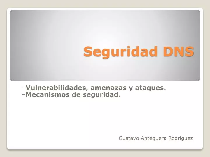 seguridad dns