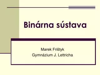 bin rna s stava