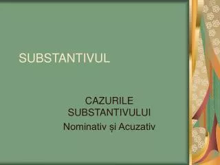 substantivul