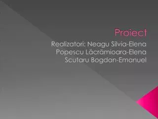 proiect