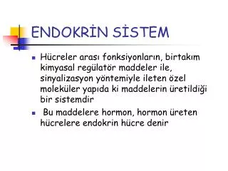 endokr n s stem