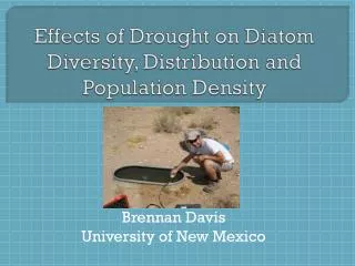 Effects of Drought on Diatom Diversity, Distribution and Population Density