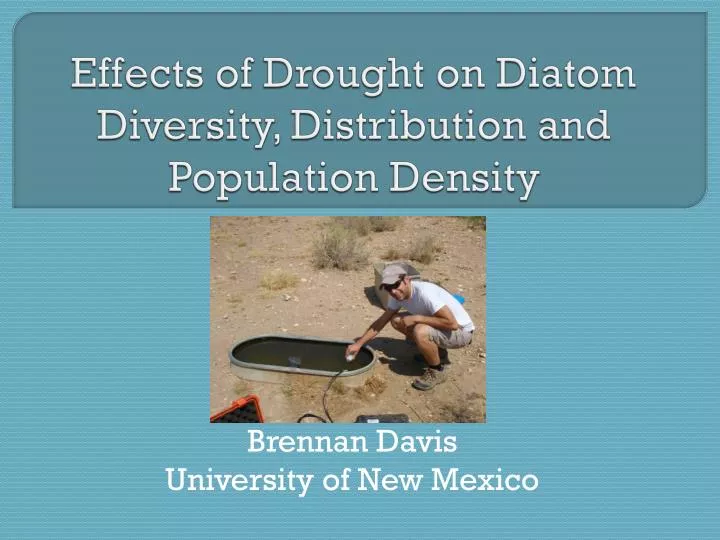 effects of drought on diatom diversity distribution and population density