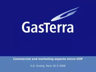 Commercial and marketing aspects micro-CHP H.E. Ensing, Paris 30-5-2008