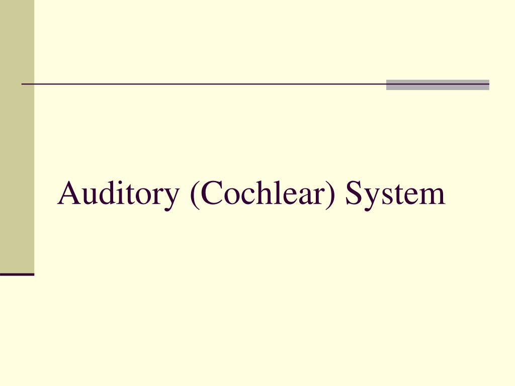 PPT - Auditory (Cochlear) System PowerPoint Presentation, free download ...