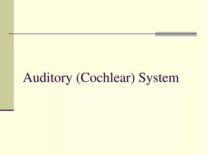 auditory cochlear system