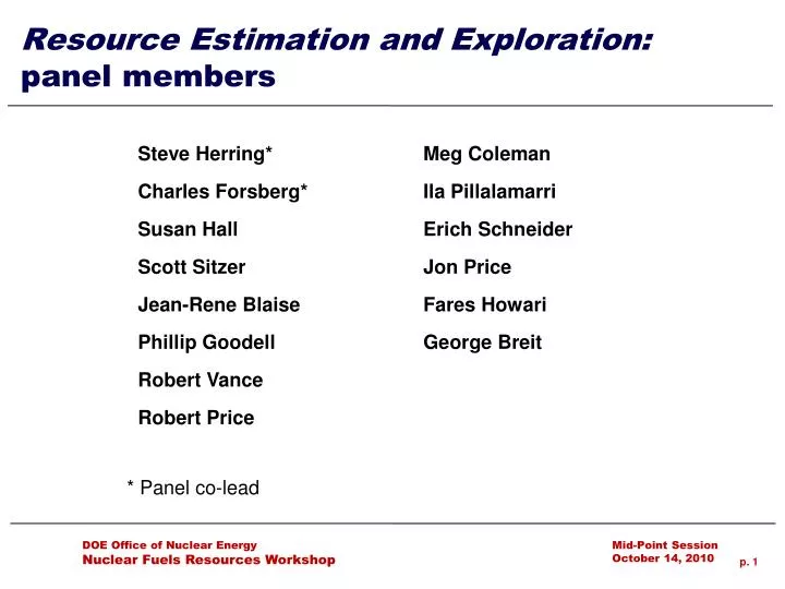 resource estimation and exploration panel members