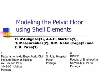 Modeling the Pelvic Floor using Shell Elements