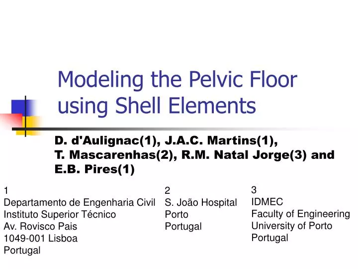 modeling the pelvic floor using shell elements
