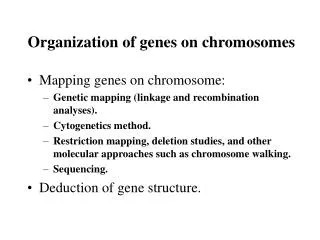 Organization of genes on chromosomes